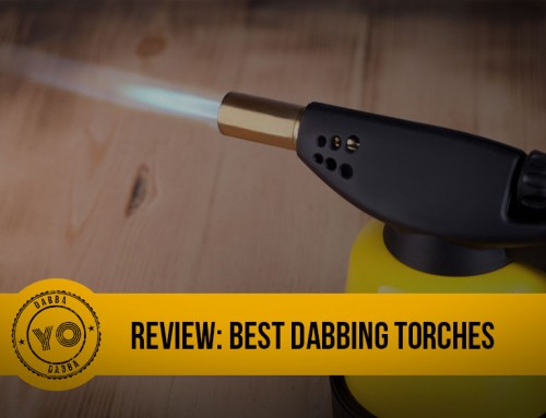 Best Dabbing Torches | Review