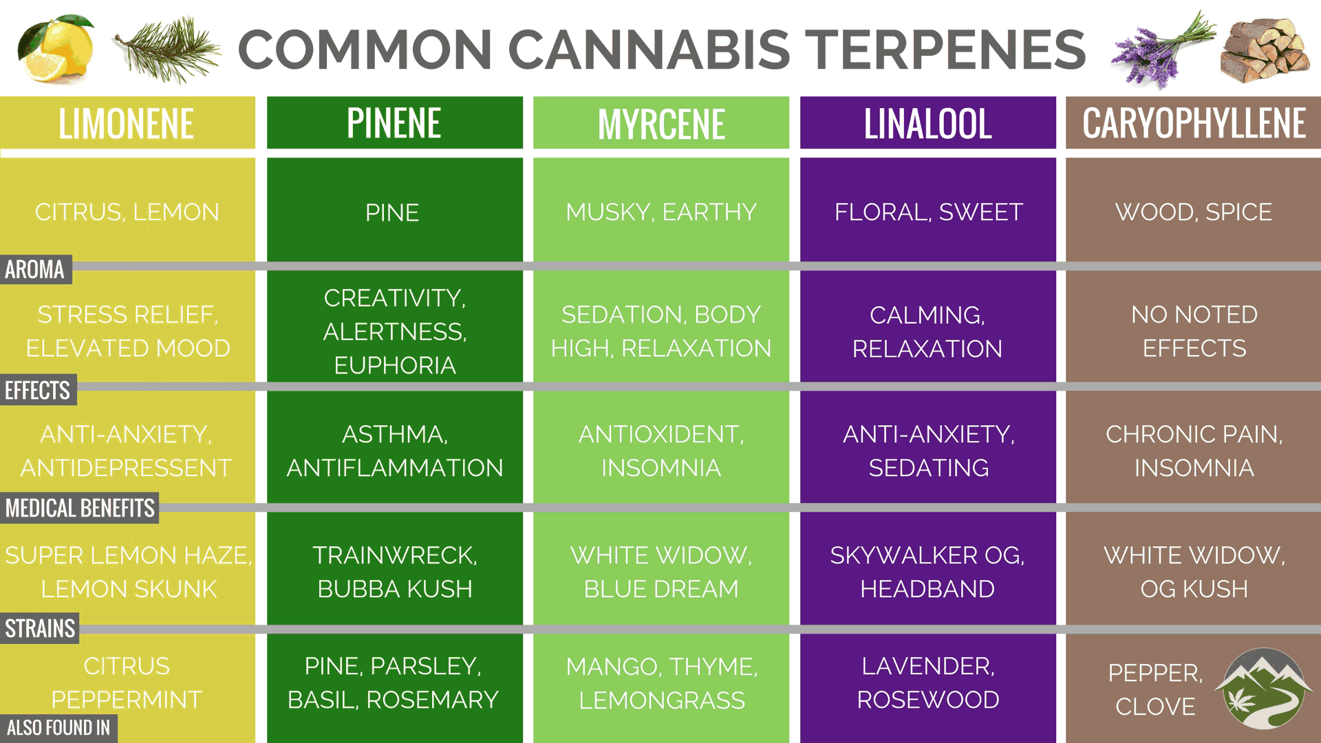 What Are Terpenes And How Do They Affect Your Cannabis? | Dabbing ...