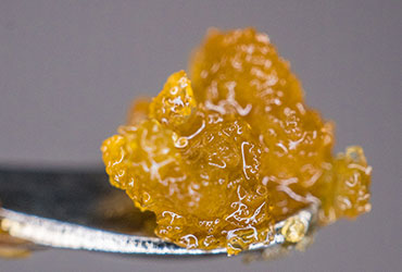 Live Resin Guide